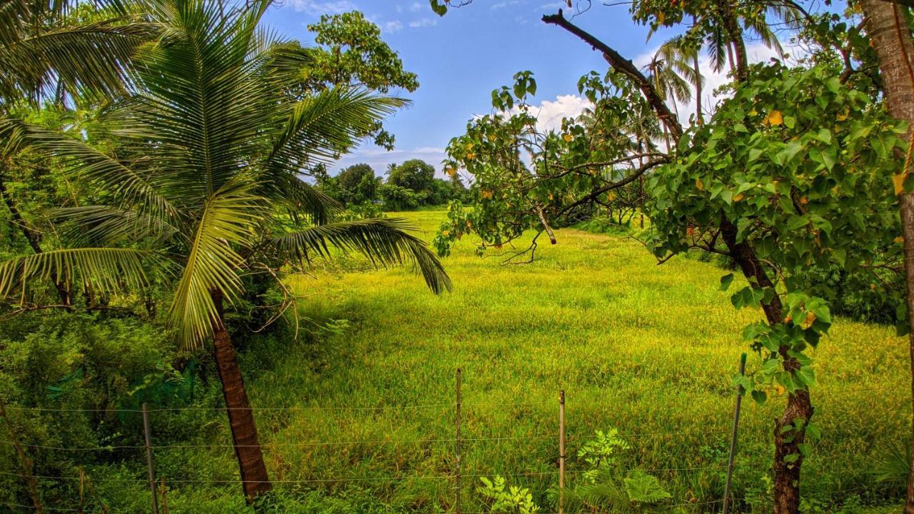 Shunyachi Lotusfeet Hotel Morjim Luaran gambar
